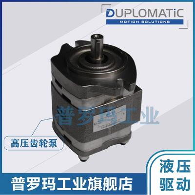 意大利DUPLOMATiC油泵IGP5/IGP6-032/40/50/64/80/100/125-R01/10