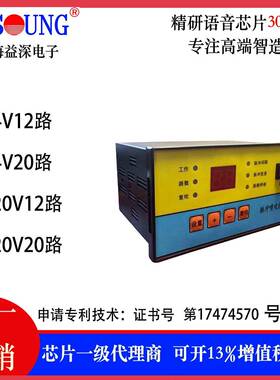 输入220输出220V 12路20路脉冲喷吹控制仪数显反吹抗震脉冲控制器