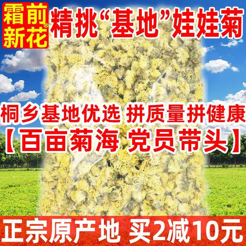 【基地娃娃菊】菊花茶正品桐乡正宗杭白菊花芽杭州菊花茶散装250g