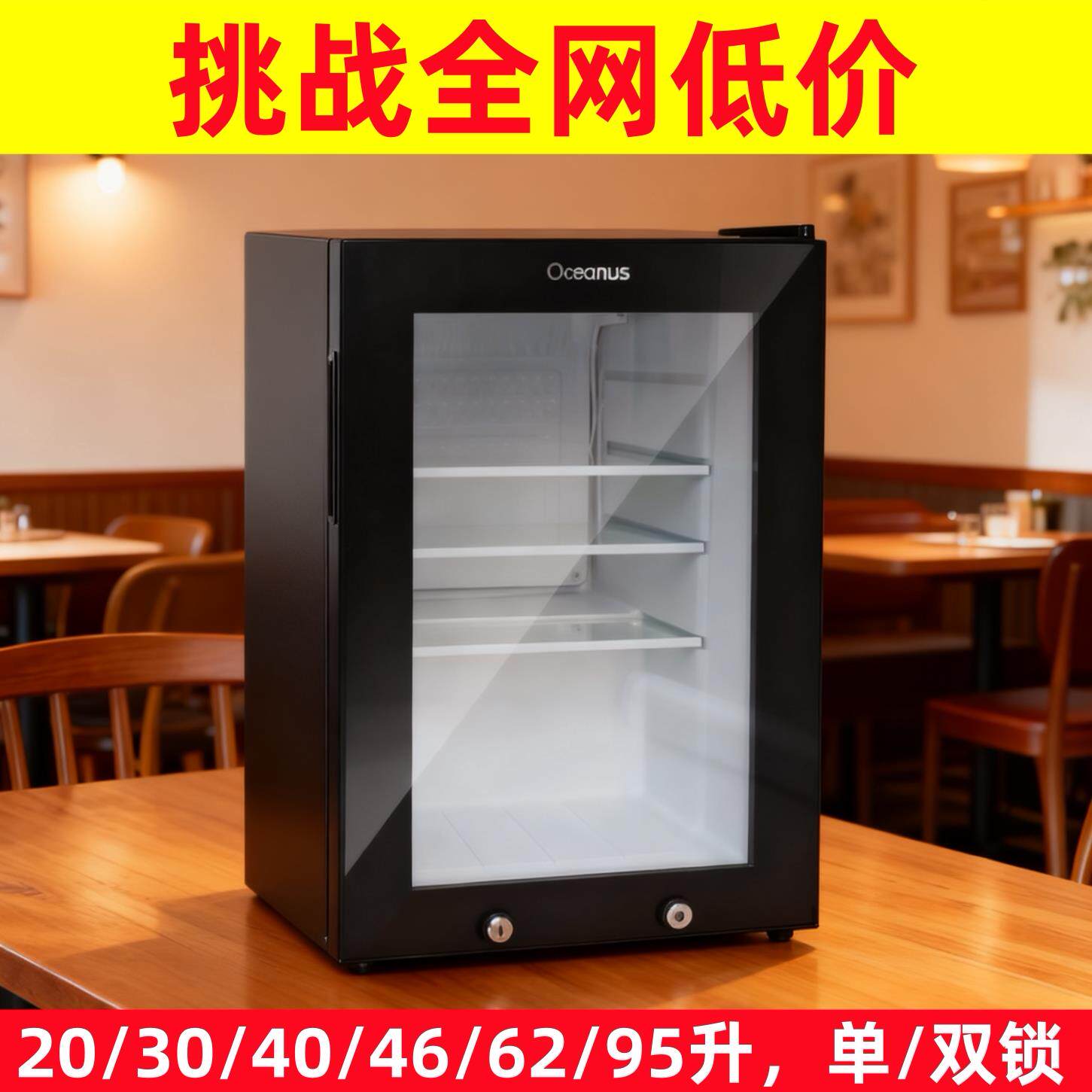 幼儿园食品留样柜食堂小型饮料冷藏柜保鲜展示柜酒店客房冰箱带锁