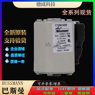 巴斯曼170M3490 170M3492 厂家直供零售 紧凑熔断器 170M3491