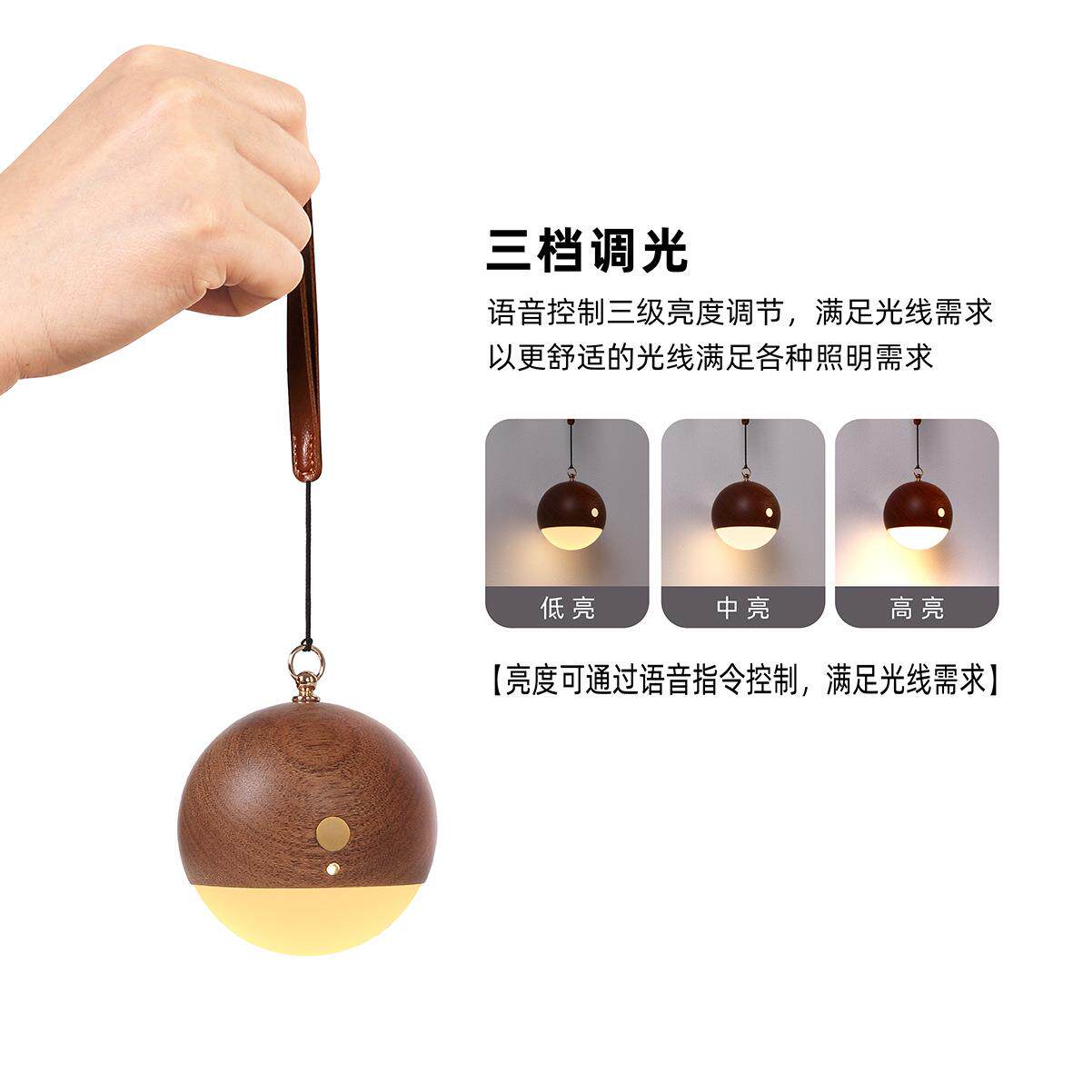 实木语音声控灯悬挂手提夜灯睡眠进门入户壁灯触控LED智能床头灯