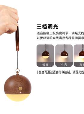 实木语音声控灯悬挂手提夜灯睡眠进门入户壁灯触控LED智能床头灯