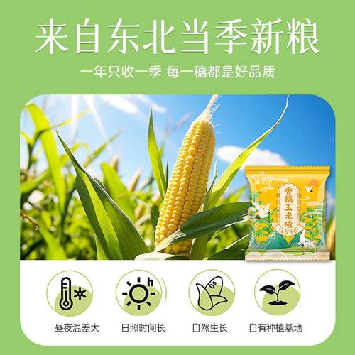 新品香糯玉米碴东北直发当季新货米饭伴侣粗粮煮粥芸豆玉米碴子粘