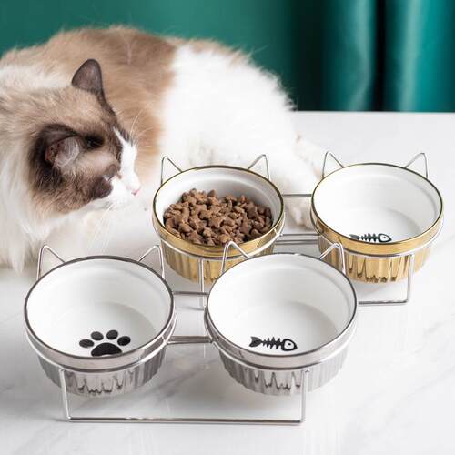 镀金陶瓷宠物猫碗双碗保护颈椎狗碗猫盆猫食盆粮盆饭碗不锈钢碗架