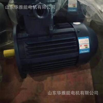 鹏锦YZRE225M-2-45电机佳木斯电机YZR电机双出线口双填料函配置
