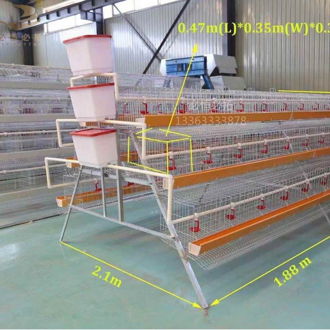 厂家供应全自动层叠式蛋鸡笼蛋鸡养殖设备各种鸡笼配件热镀锌鸡笼