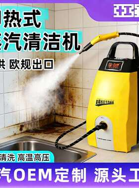 蒸汽清洗机多功能厨房油污高温清洗地毯沙发床垫除菌清洁机蒸气