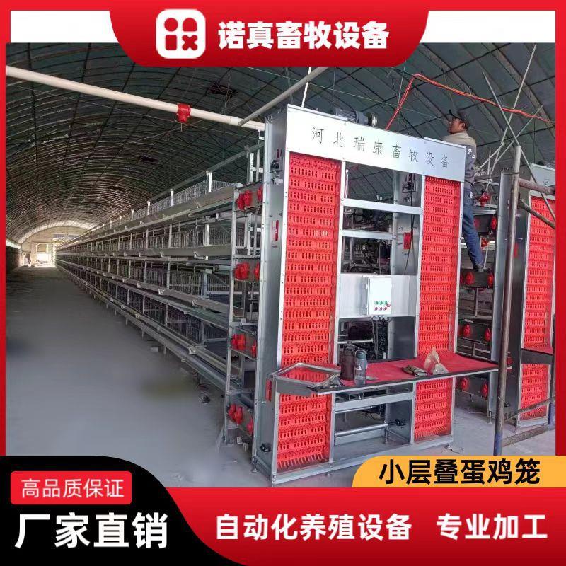 小层叠蛋鸡笼热镀锌丝鸡笼自动化捡蛋喂料清粪设备