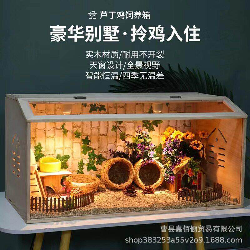 现货木质芦丁鸡养殖箱透明亚克力木制仓鼠小型养殖箱实木宠物箱