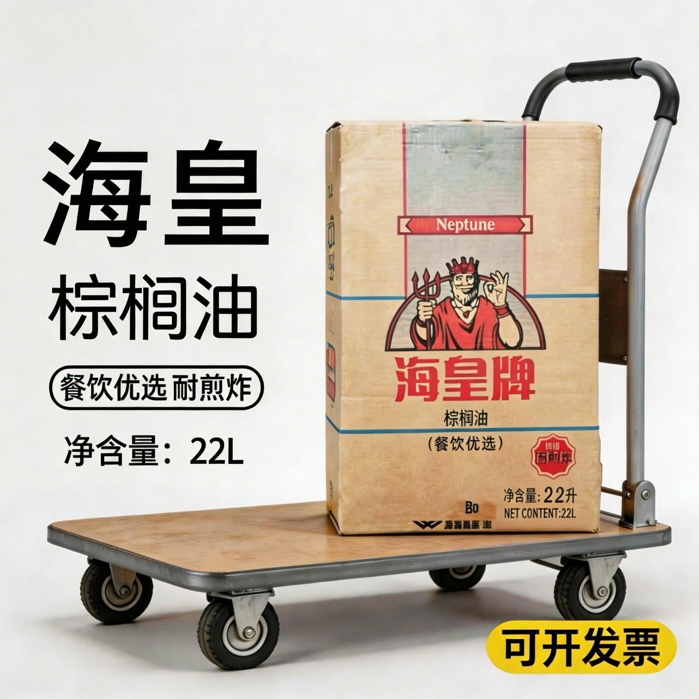 海皇牌棕榈油22升商用桃酥炸鸡汉堡薯条煎炸油食品级油炸用起酥油 - 实物图