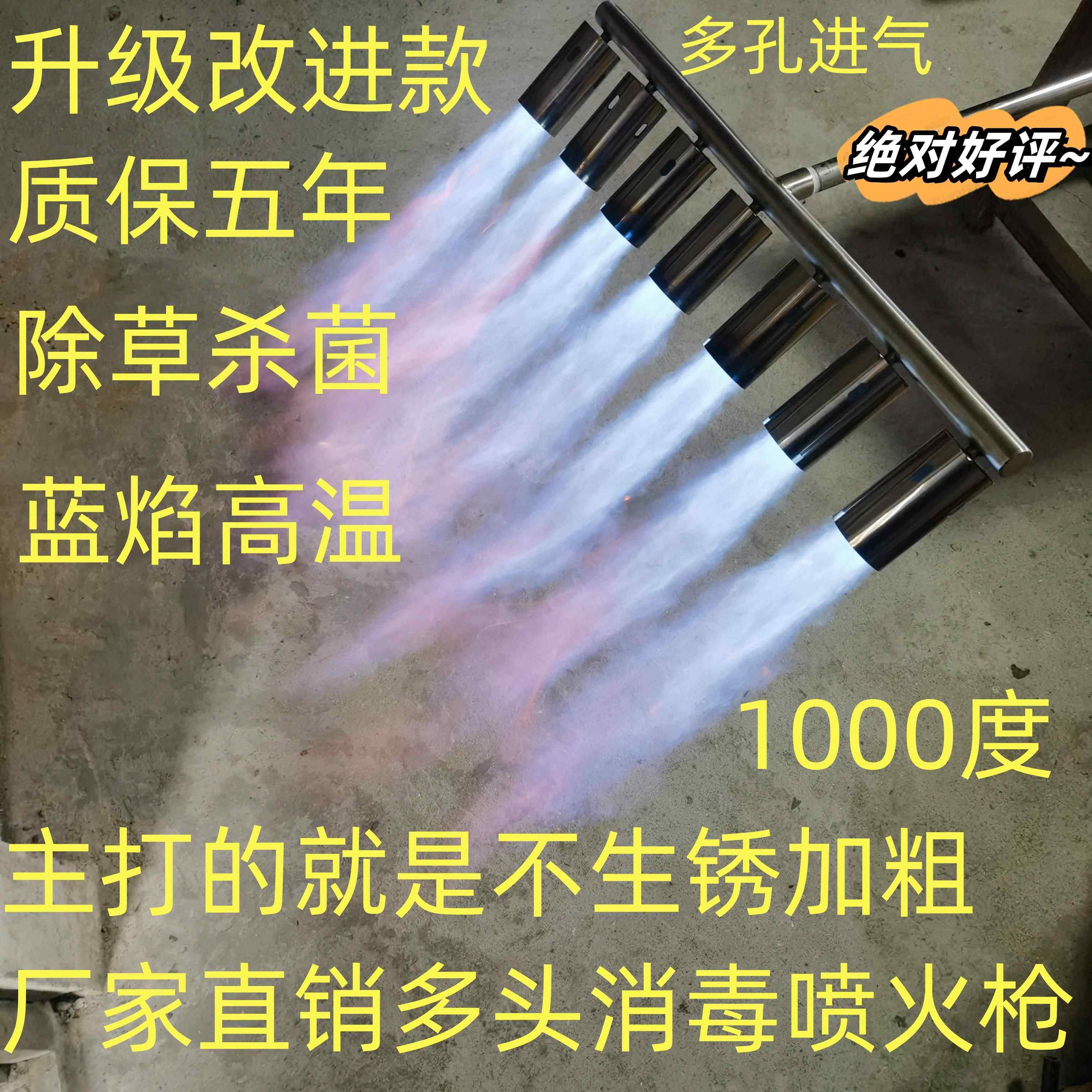 火焰消毒枪不锈钢多头除草高温液化气天然气丙烷沼气喷火枪烤枪