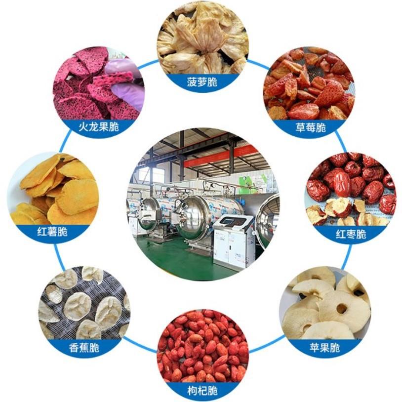 山东头容冻干粉全自动真空冻干机美 食真空冻干药品低温冷冻干燥