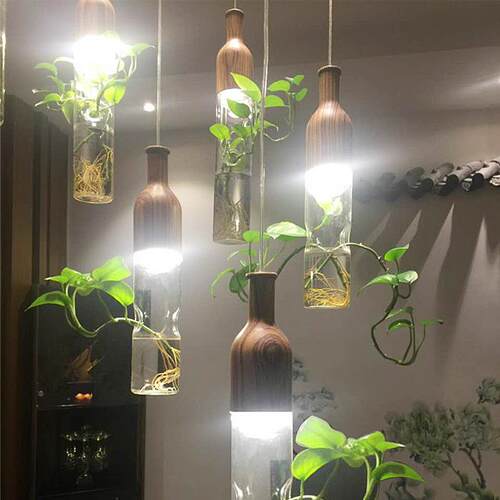 创意餐厅吊灯植物单头个性现代简约吧台过道餐厅灯北欧玻璃餐吊灯