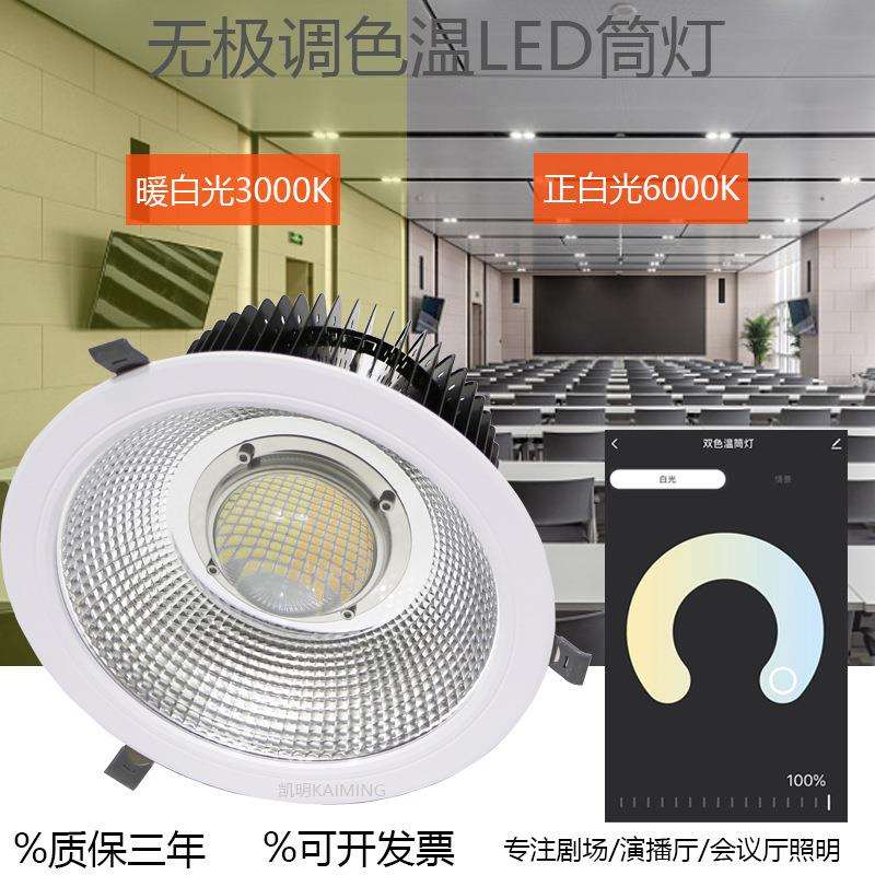 智能调光led筒灯40w50w60w80w大功率射灯/会议厅照明用