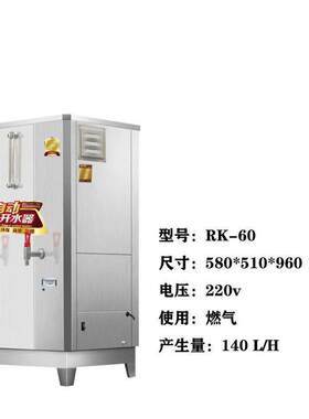 大型商用开水器大容量全自动进水天燃气液化温控开水机商用速热