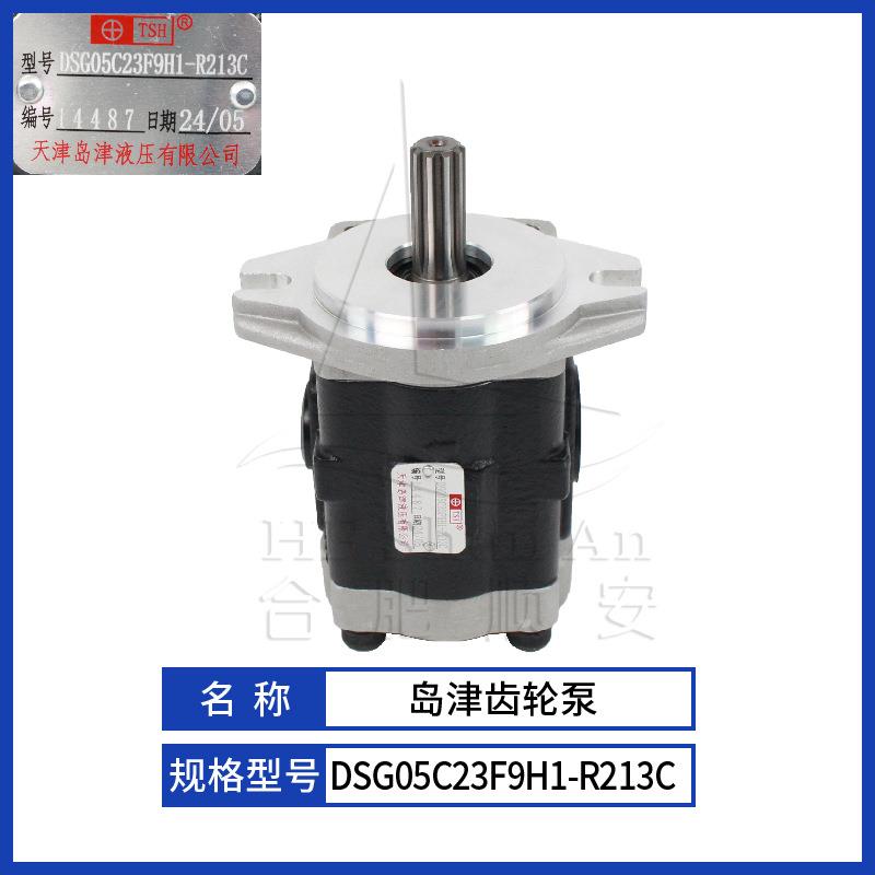 叉车配件叉车齿轮泵岛津原厂液压油泵天津岛津DSG05C23F9H1-R213C