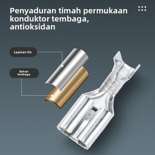 9.5平板带刺插簧接线端子黄铜酸洗镀锡包装 2.8 7.8 6.3 4.8