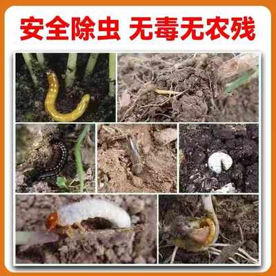 撒施型清病菌颗粒除害虫防病害抗土传专用肥瓜果蔬菜农田通用颗粒