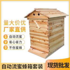 自流蜜箱套装 自动流蜜蜂箱 自动流蜜巢脾 塑料巢脾 出口蜂箱