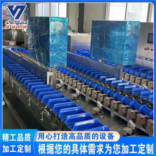 称蚝JQB自动称重分级机生 豆在线自动重分选机 鲈鱼重量分拣剔土