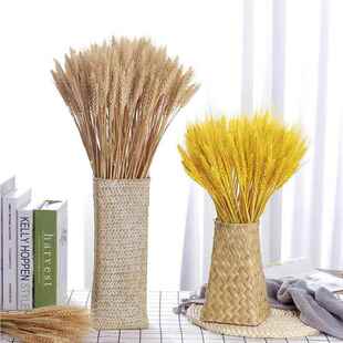 新包款稻穗麦小其他1麦大物穗干花天然植装饰拍照道具真花花束邮