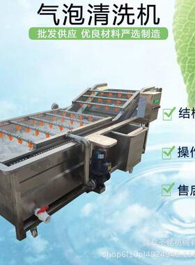 商用花生土豆毛豆去泥清洗机 喷淋式气泡清洗机 果蔬清洗干净