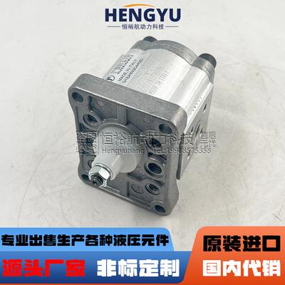 罗茨液压泵RONZIO齿轮泵01ZA032C442D 01ZAG16C401D 01ZA021C406D
