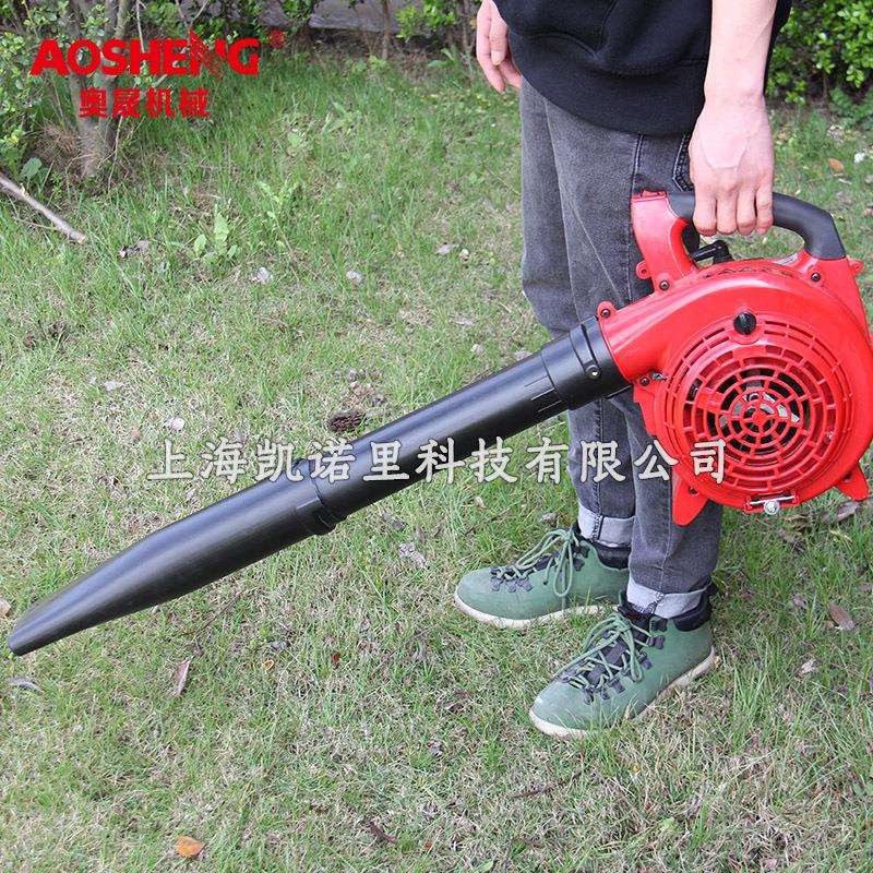 奥晟EBV260吹风机清灰尘器家用吸尘器吹吸两用清扫机马路吹风机械