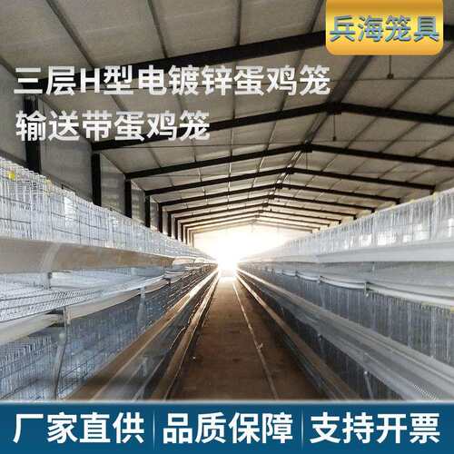 三层H型电镀锌蛋鸡笼使用寿命长自动化养殖设备阶梯式蛋鸡笼