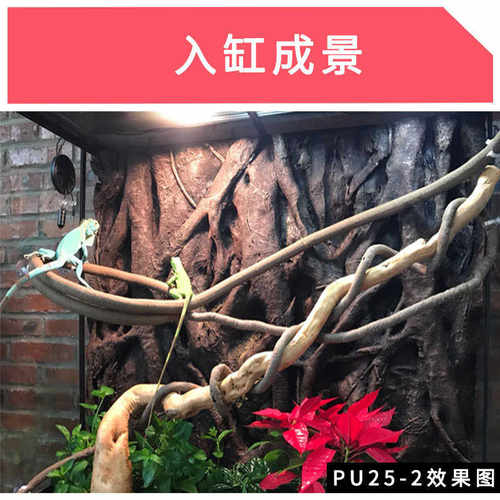 60造景立体10鱼缸 宠树根箱爬3d背景墙 鱼缸*龟*背景缸板板120