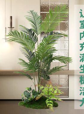 大型彷真散尾葵造景适用于客厅的落地假花盆栽 真实感室内绿植摆