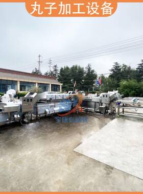 现货丸子定型机商用全自动猪肉丸预煮机牛丸加工成套设备流水线