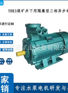 厂家直供YBK3防爆电机煤矿井下用隔爆型三相异步电动机机械设备