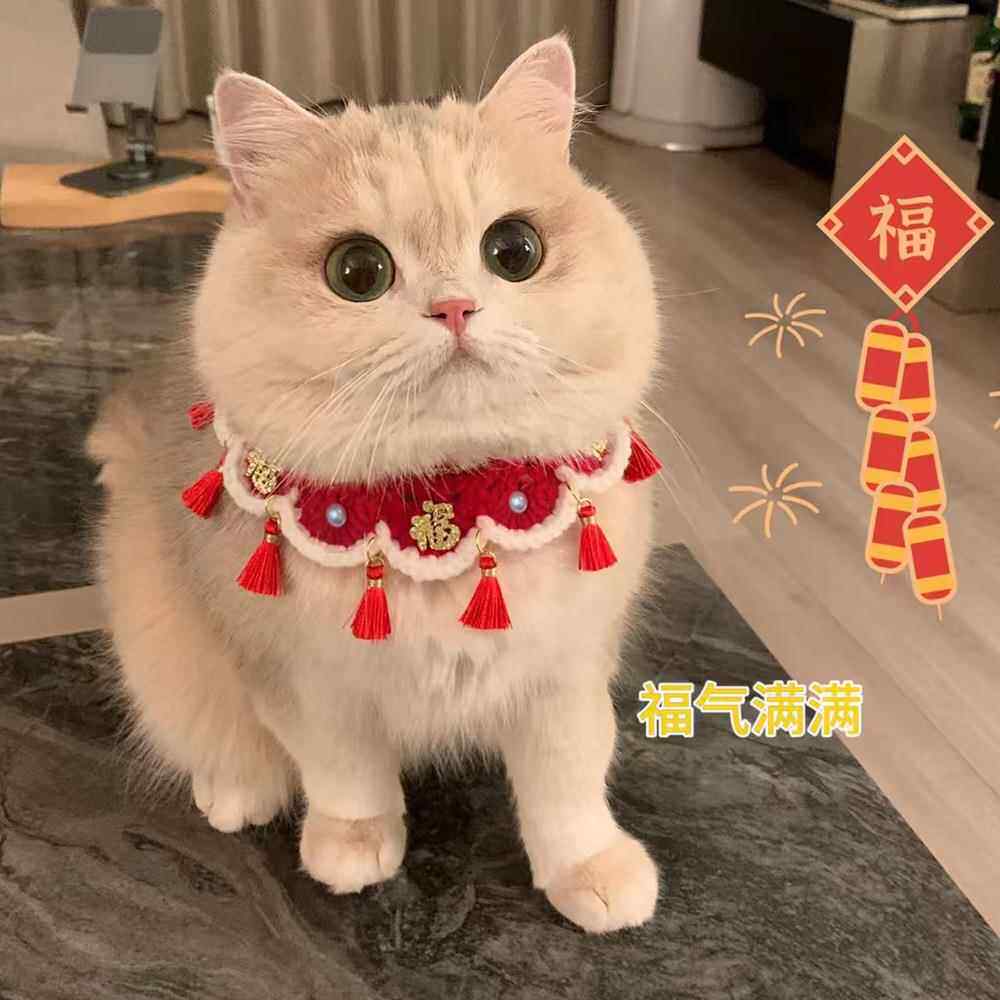 宠物项圈新年围脖狗狗猫咪秋冬衣服猫猫项圈小猫口水巾可爱围兜