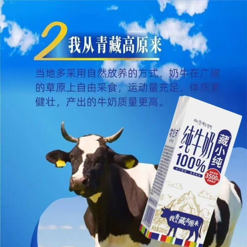 青海木伦河藏小纯高原纯牛奶200克盒装早餐补钙生牛乳全脂补钙