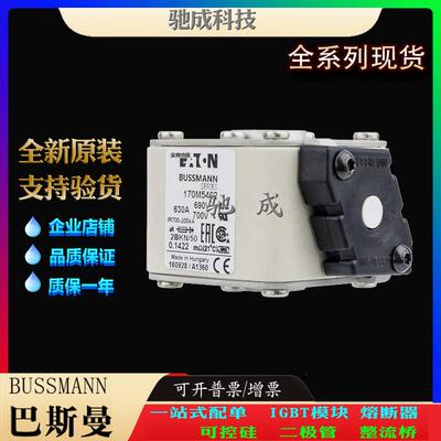 巴斯曼170M5460 170M5461 170M5462 经销销售价优 快速熔断器