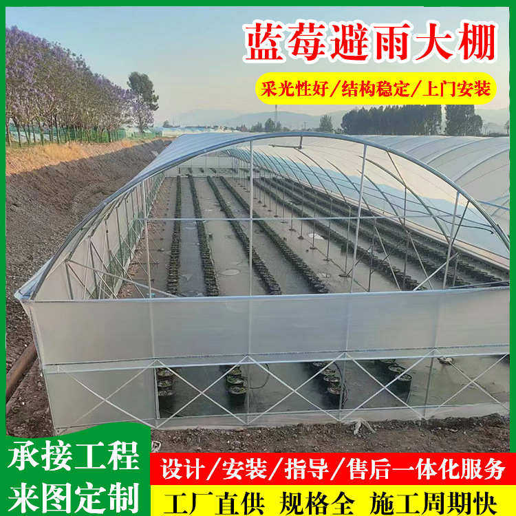 蓝莓大棚 镀锌骨架避雨棚 薄膜连栋蓝莓避雨棚种植蓝莓拱形避雨棚,农机/农具/农膜,温室大棚支架,淘宝优惠券,粉丝福利购,淘宝优惠卷