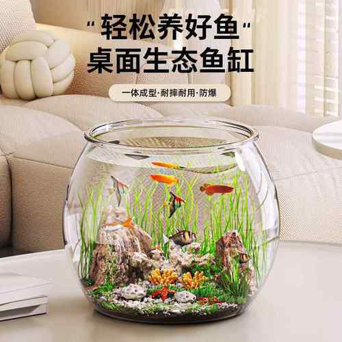 小金鱼缸造景观赏鱼专用水草缸fish tank透明桌面微景缸客厅