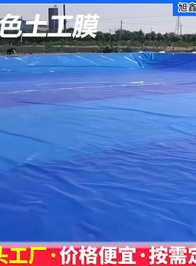 鱼塘防渗膜蓄水池土工膜蓝色塑料薄膜养殖防水布加厚防漏农用地膜