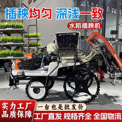 乘坐式农用水稻插秧机四冲程水田全自动插秧种植机水稻育秧播种机