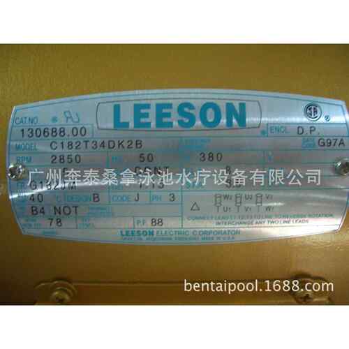 美国LEESON铜泵 利森铜泵 泳池过滤循环铜泵 泳池铜泵 5HP/380V