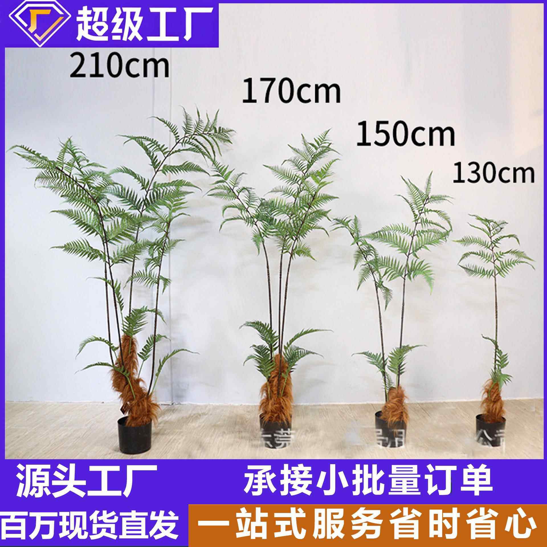 软装造景设计仿真假树猴头蕨室内植物仿生绿植金丝撅庭院装饰盆栽