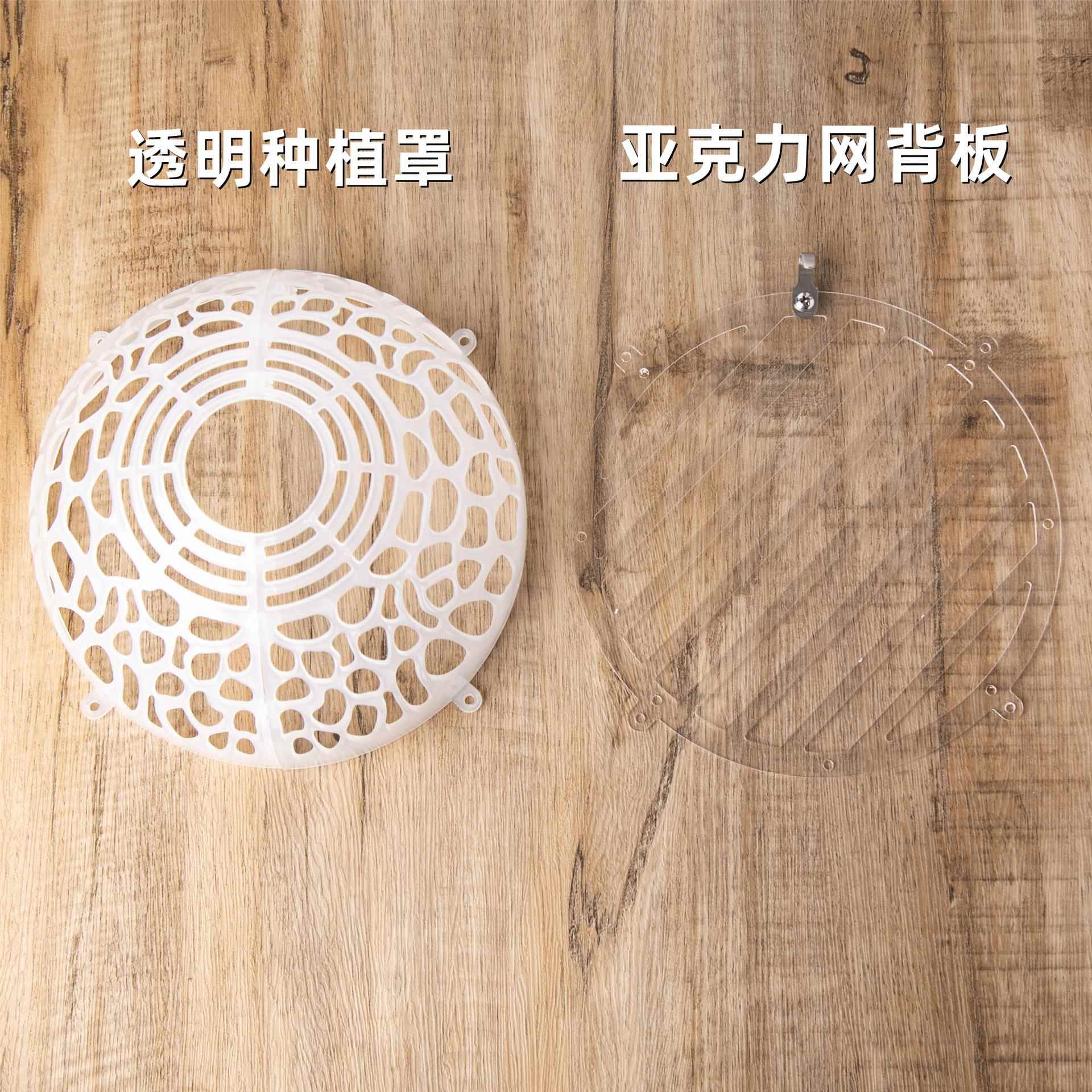 20CM鹿角蕨种植罩蝴蝶兰种植罩水草悬浮球非亚猴马圆爪哇银鹿上板