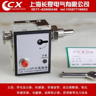 Y户内电磁锁DSN 专业生产DSN