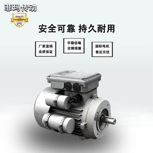 供应MA菲玛M系列启动力矩/相电机/相刹车电机HSE