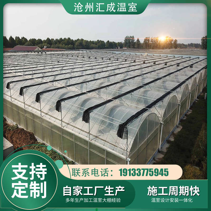 全套大棚连动薄膜温室   蔬菜育苗连栋大棚 钢管骨架连栋薄膜温室