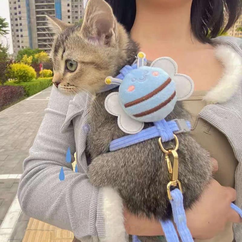 猫咪牵引绳溜猫绳防挣脱外出专用不勒脖遛猫神器狗狗可调节胸背带