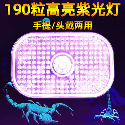 两用照豆手提亮头戴长续航超190紫专用led灯 蝎子灯光灯虫珠灯颗