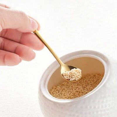 6Pcs Tiny Spoon Set Mini Stainless Steel Spoons for Salt
